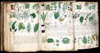 Conférence cycle Art et littérature: l'étrange manuscrit de Voynich - 