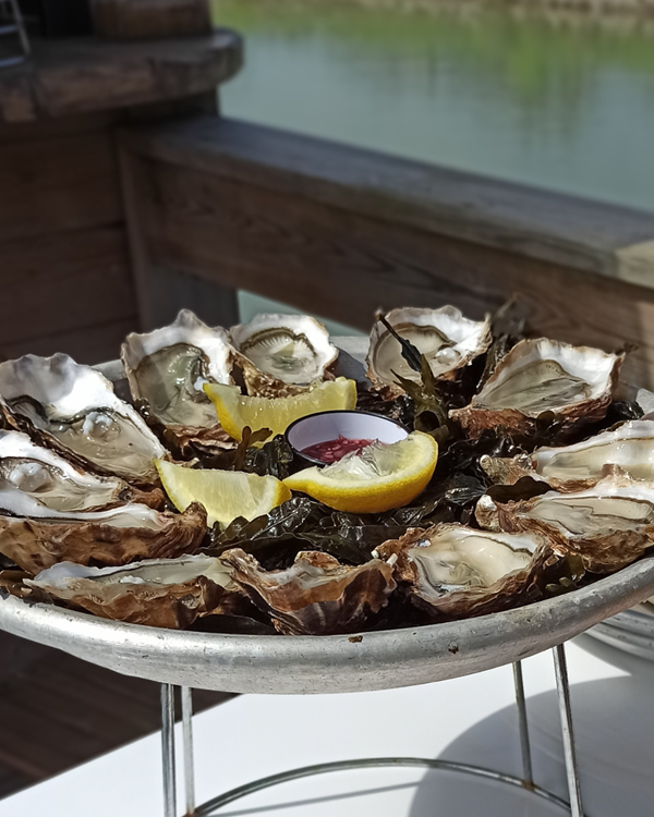 Apéro huîtres et vin blanc en livres avec le Gourmand d'Huîtres