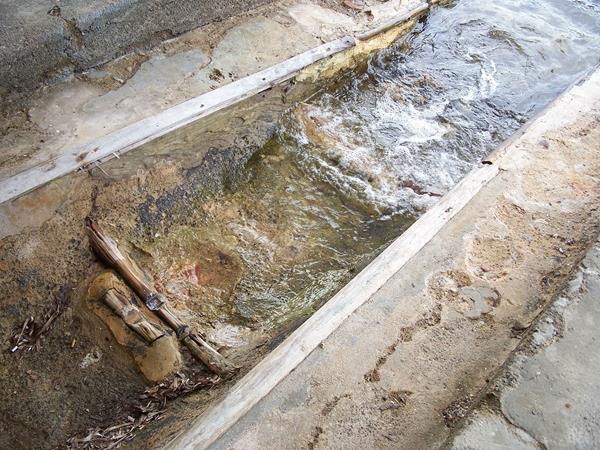 Els quarts dilluns ( que serà dimarts ) amb les poetes Gemma Arimany i Teresa Colom