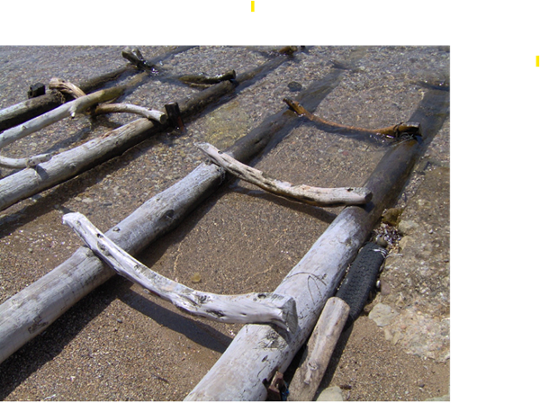 Els quarts dilluns amb les poetes Àngels Marzo i J M Sala Valldaura