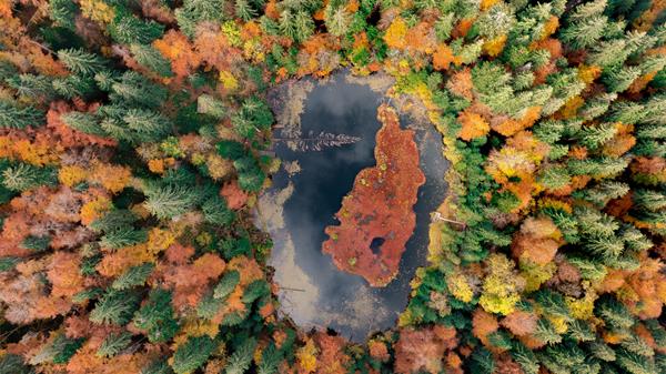 Vernissage exposició Fotografies, pintures i llibres d'Ucraïna