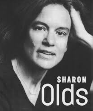 Sharon Olds vista per Marta Pera : Lectures de la modernitat poètica nº 37