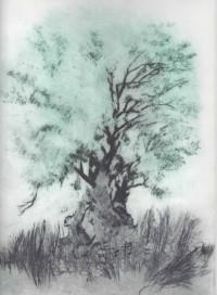 Els Llibres d'artista de Joan Barbarà (del 10 de novembre al 30 de novembre) | 