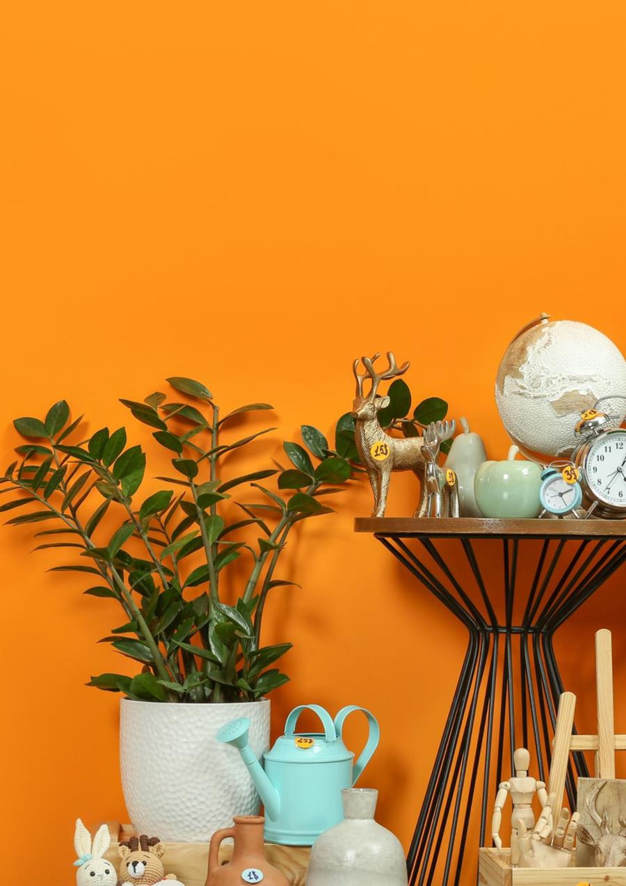 VIDE-GRENIER des Babies de Barcelona et VIDE-PARKING de l’Institut Français - 