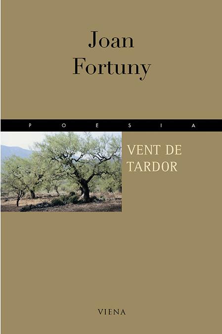 VENT DE TARDOR | 9788483301609 | FORTUNY, JOAN