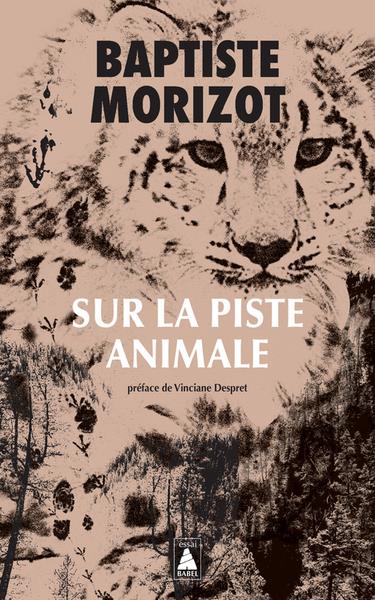 Nouveau !!! Club de lecture J’aime la philo 2 : "Sur la piste animale" de Baptiste Morizot - 
