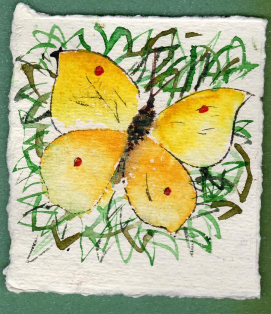 Darrer dia Dissabte 25 !!!!!   Exposició de les il·lustracions de Perico Pastor  del llibre "Històries naturals" de Martí Domínguez - 