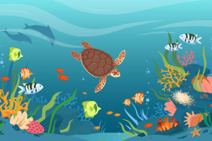 La mer avec Typhaine, un spectacle sensoriel pour bébés et grands - 