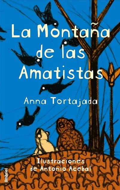 LA MONTAÑA DE LAS AMATISTAS | 9788495618801 | TORTAJADA, ANA