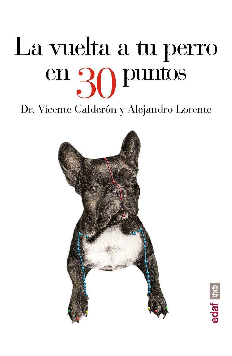 LA VUELTA A TU PERRO EN 30 PUNTOS | 9788441435483 | CALDERÓN, DR. VICENTE/LORENTE, ALEJANDRO