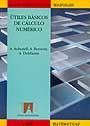 ÚTILES BÁSICOS DE CÁLCULO NUMÉRICO | 9788433551566 | AUBANELL, A./BENSENY, A./DELSHAMS, A.
