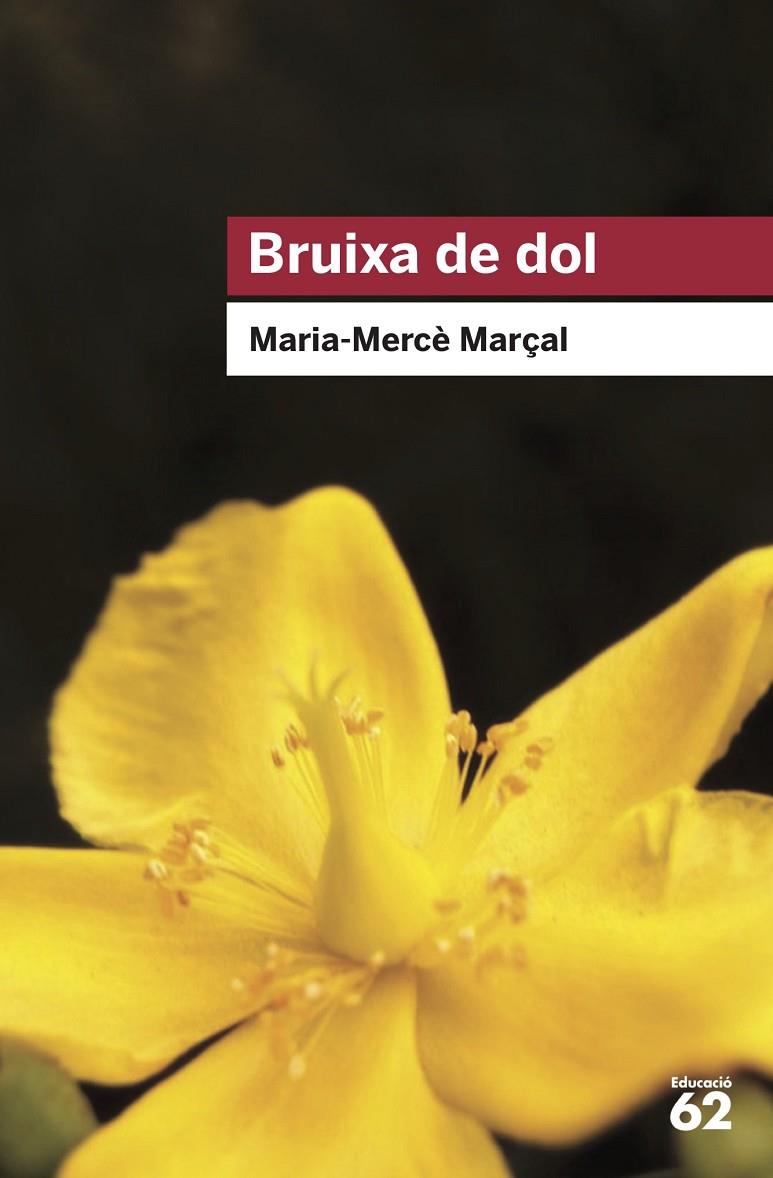 BRUIXA DE DOL (1977-1979) | 9788415954736 | MARÇAL SERRA, M. MERCÈ