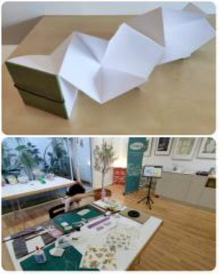 Atelier d'initiation reliure origami lotus pour enfants de 6 à 10 ans  - 