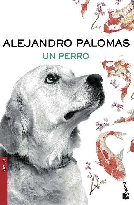 UN PERRO | 9788423351862 | PALOMAS, ALEJANDRO