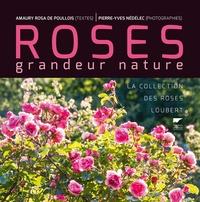 ROSES GRANDEUR NATURE - LA COLLECTION DES ROSES LOUBERT | 9782603025635 | AMAURY ROSA DE POULLOIS, PIERRE-YVES NÉDÉLEC