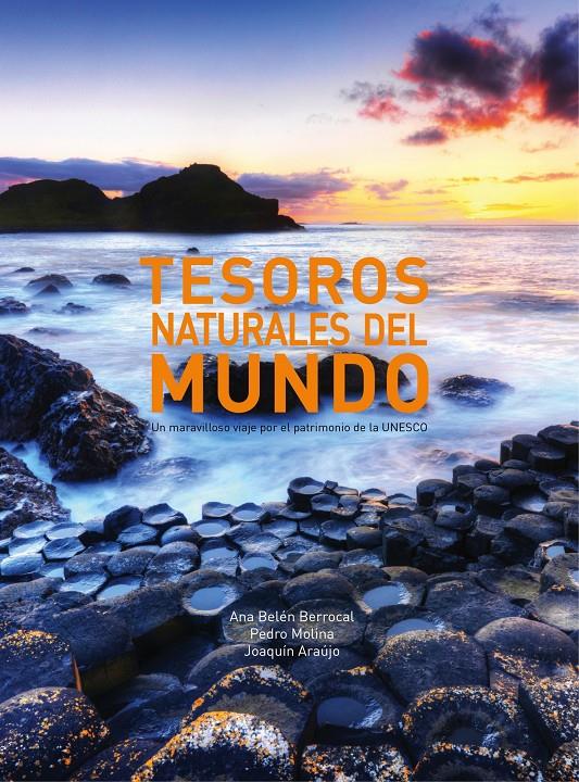 TESOROS NATURALES DEL MUNDO | 9788497859868 | VV AA