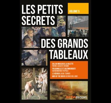 PETITS SECRETS DES GRANDS TABLEAUX V.5 - DVD | 3453270086422