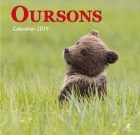 CALENDRIER OURSONS 2019 | 9782809916003 | COLLECTIF