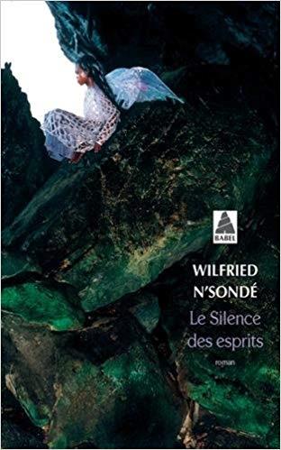 LE SILENCE DES ESPRITS | 9782330097004 | WILFRIED N'SONDÉ