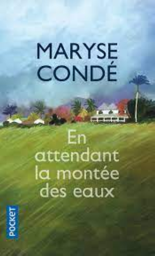 Cycle de littérature haïtienne : Ochan pou Ayiti!  "En attendant la montée des eaux" de Maryse Condé - 