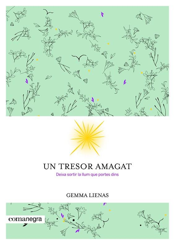 UN TRESOR AMAGAT | 9788416605347 | LIENAS MASSOT, GEMMA