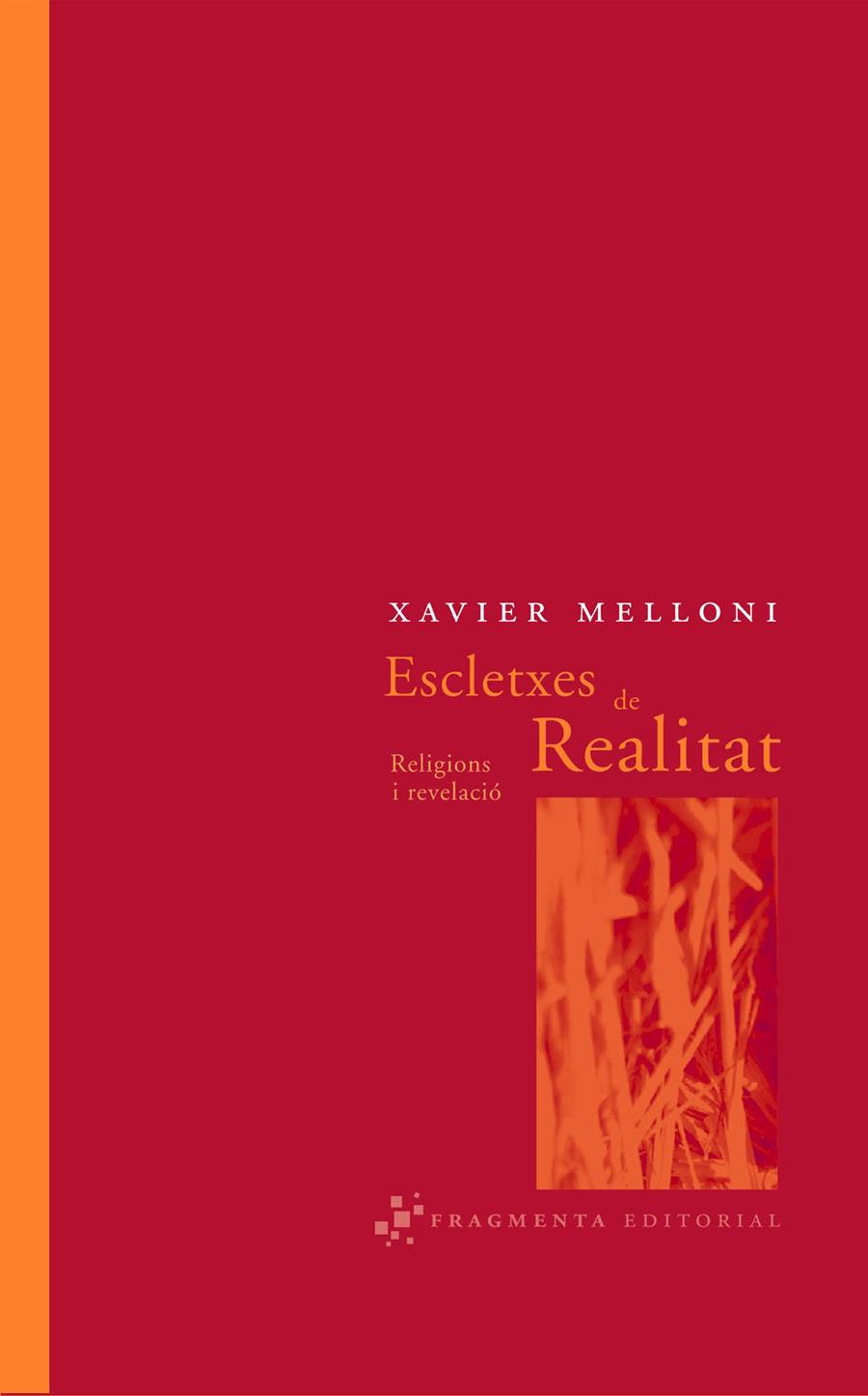 ESCLETXES DE REALITAT | 9788493569501 | MELLONI RIBAS, XAVIER