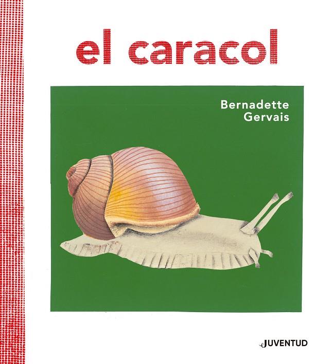 EL CARACOL | 9788426145673 | GERVAIS, BERNADETTE