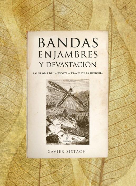 BANDAS, ENJAMBRES Y DEVASTACIÓN | 9788496710054 | SISTACH LEAL, XAVIER