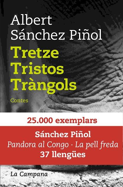 TRETZE TRISTOS TRÀNGOLS | 9788416863082 | SÁNCHEZ PIÑOL, ALBERT