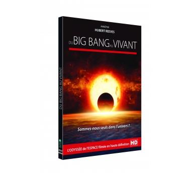DU BIG BANG AU VIVANT -DVD | 3760129466442 | VARIS
