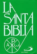 SANTA BIBLIA. MODELO ESCOLAR. TAMAÑO BOLSILLO. PLÁSTICO | 9788428512756 | MARTÍN NIETO, EVARISTO