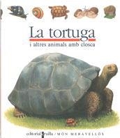 C-MF.24 LA TORTUGA | 9788476298206 | GALLIMARD JEUNESSE, ÉDITIONS