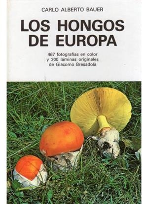 LOS HONGOS DE EUROPA | 9788428206662 | BAUER, CARLO ALBERTO