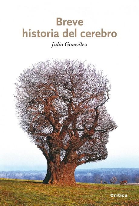 BREVE HISTORIA DEL CEREBRO | 9788498921151 | JULIO GONZÁLEZ ÁLVAREZ