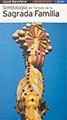 SIMBOLOGÍA DEL TEMPLO DE LA SAGRADA FAMILIA | 9788484784050 | VIVAS ORTIZ, PERE/FARGAS BESPIN, ALBERT