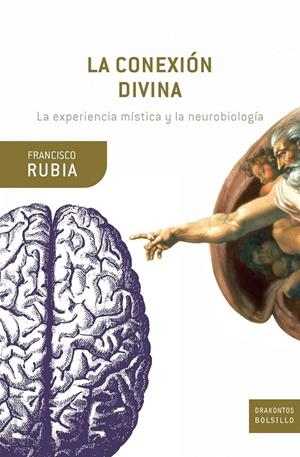 LA CONEXIÓN DIVINA | 9788474239324 | FRANCISCO RUBIA