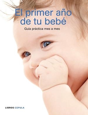 EL PRIMER AÑO DE TU BEBÉ | 9788448048303 | PRACTICAL PARENTING