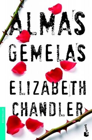 ALMAS GEMELAS | 9788408005025 | ELIZABETH CHANDLER