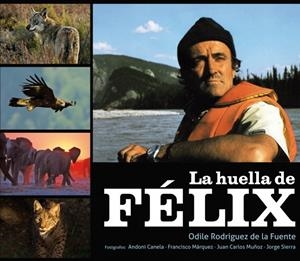 LA HUELLA DE FÉLIX | 9788425345685 | RODRIGUEZ DE LA FUENTE,ODILE