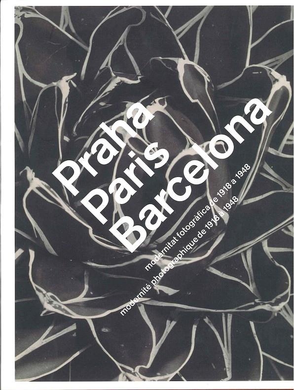 PARIS, PRAGA, BARCELONA | 9788492841400 | VV.AA