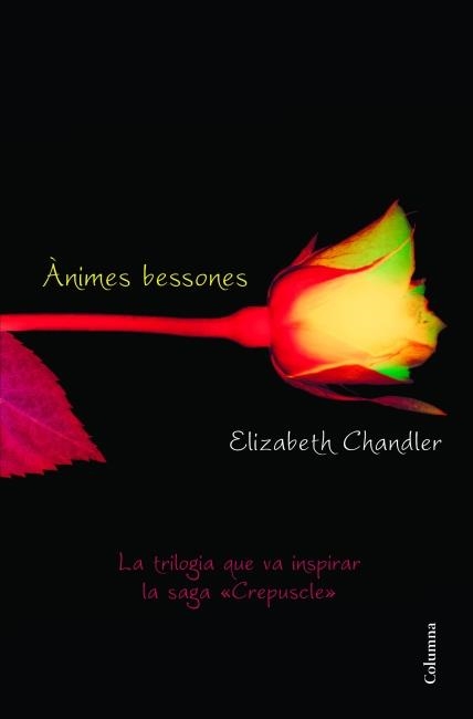 ÀNIMES BESSONES | 9788466415101 | ELIZABETH CHANDLER