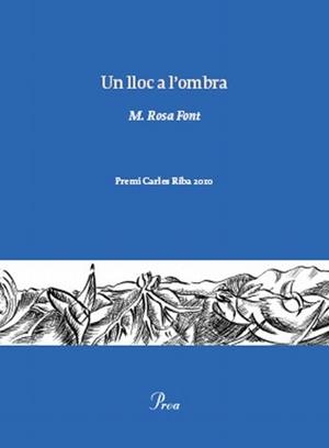UN LLOC A L'OMBRA | 9788475882222 | M. ROSA FONT I MASSOT