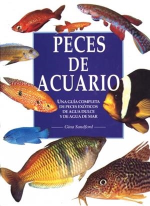 PECES DE ACUARIO. (GRAN FORMATO) | 9788428210805 | SANDFORD, GINA
