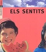 ELS SENTITS | 9788424602727 | PORTELL RIFÀ, JOAN/ARÀNEGA, SUSANNA