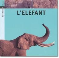 L'ELEFANT | 9788424602734 | PORTELL RIFÀ, JOAN/ARÀNEGA, SUSANNA