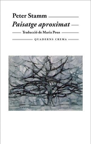 PAISATGE APROXIMAT | 9788477274056 | STAMM, PETER