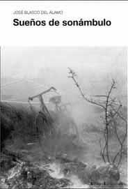 SUEÑOS DE SONÁMBULO | 9788495881250 | BLASCO DEL ÁLAMO, JOSÉ