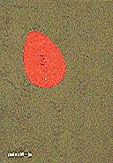 DALÍ. AFINIDADES ELECTIVAS. PALAU MOJA, DEL 19 DE FEBRERO AL 18 DE ABRIL DE 2004 | 9788439363934