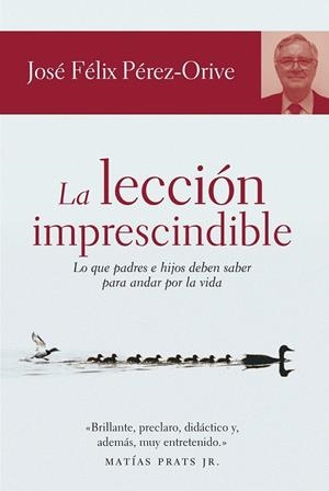 LA LECCIÓN IMPRESCINDIBLE | 9788484605577 | JOSÉ FÉLIX PÉREZ-ORIVE