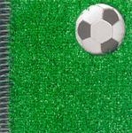 BOJOS PEL FUTBOL! | 9788424620547 | MORTIMER, GAVIN